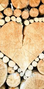 Registros,Trozas,Amor,Madera,Árbol,Un Corazón,Corazón