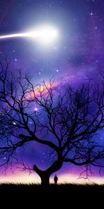 Tree,Night,Wood,Starry Sky,Universe,Silhouette,Comet,Art