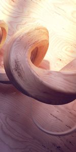 Spirale,Spirales,Copeaux,Bois,Arbre,Ombre,Puce,3D