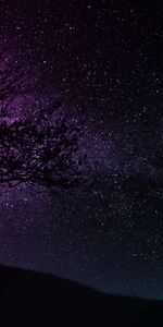 Tree,Silhouette,Wood,Starry Sky,Art,Dark