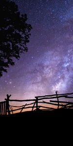 Tree,Swing,Starry Sky,Wood,Silhouette,Night,Dark