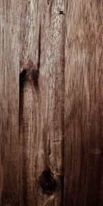 Textures,Bois,Arbre,Marron,Surface,Conseil,Texture,Planche