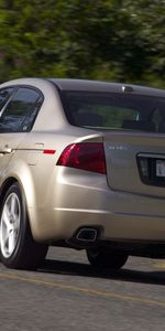 Trees,Acura,Asphalt,Rear View,Speed,Style,Akura,Tl,2004,Beige Metallic,Back View,Auto,Cars