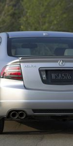 Trees,Acura,Asphalt,Rear View,Style,Akura,Tl,2007,Silver Metallic,Cars,Back View,Auto