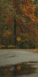 Naturaleza,Árboles,Bosque,Firmar,Flecha,Otoño