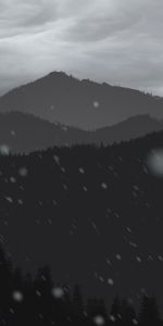 Trees,Art,Mountains,Snow,Forest,Vector