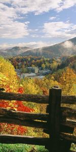 Trees,Autumn,Colors,Color,Fence,Logs,Nature