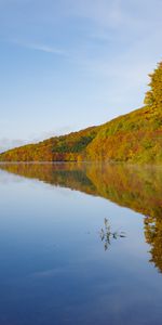 Naturaleza,Árboles,Otoño,Lago,Reflexión