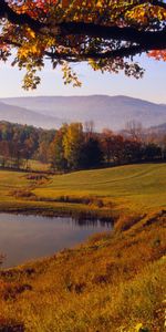 Trees,Autumn,Lakes,Landscape