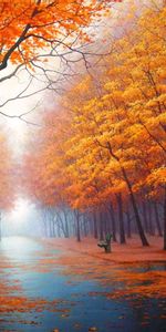 Arbres,Automne,Streets,Paysage