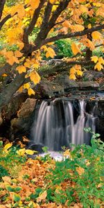 Trees,Autumn,Landscape,Waterfalls