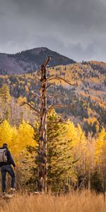 Trees,Autumn,Miscellanea,Miscellaneous,Forest,Hill,Backpack,Rucksack,Tourist