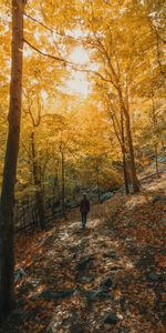 Trees,Autumn,Miscellanea,Miscellaneous,Forest,Path,Slope,Girl