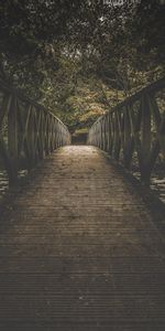 Trees,Bridge,Boardwalk,Nature