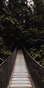 Naturaleza,Árboles,Oscuro,Bosque,Suspensión,Ahorcamiento,Puente