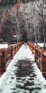 Printemps,Pont,Nature,Neige,Source,Arbres,Hiver