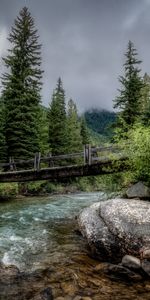 Noyaux,Nature,Rivières,Arbres,Pont