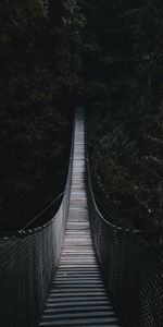 Trees,Bridge,Rope Bridge,Cable Bridge,Forest,Dark