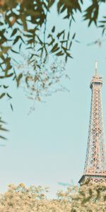 Trees,Building,Branches,Cities,Tower,Eiffel Tower,Paris