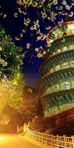 Trees,Building,Evening,Cities,China