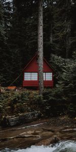 Trees,Building,Forest,Nature,House