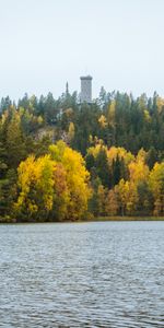 Trees,Building,Lake,Forest,Nature