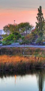 Nature,Imeuble,Ville,Bâtiment,Arbres,Lac,Végétation