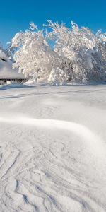 Derivas,Deriva,Invierno,Naturaleza,Árboles,Nieve,Edificio