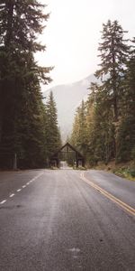 Trees,Building,Nature,Road,Forest