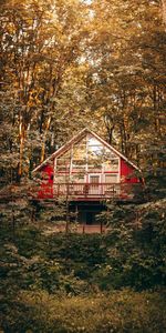 Trees,Bush,Building,Nature,House