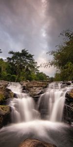 Trees,Bush,Flow,Stream,Stones,Nature,Waterfall