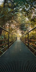 Trees,Bush,Miscellanea,Miscellaneous,Bridge,Iron,Plants