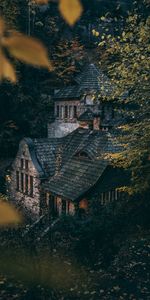 Trees,Bush,Miscellanea,Miscellaneous,Forest,House