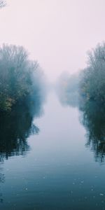 Réflexion,Nature,Buissons,Brouillard,Arbres,Rivières