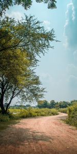 Trees,Bush,Road,Nature,Turn