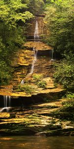 Trees,Bush,Rocks,Branches,Nature,Waterfall