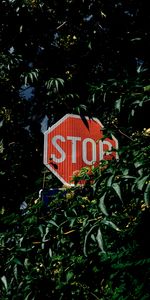 Trees,Bush,Words,Inscription,Stop,Caution,Watch Out,Sign