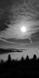 Trees,Bw,Nature,Sky,Forest,Chb,Moon