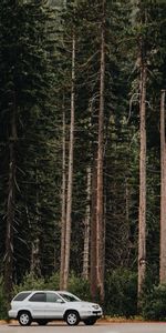 Voitures,Arbres,Vue De Côté,Voiture