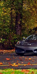 Trees,Cars,Ferrari F430 Scuderia,Autumn,Leaves,Ferrari