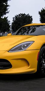 Trees,Cars,Front View,Viper,Dodge