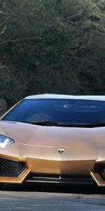 Trees,Cars,Road,Front View,Golden,Aventador,Gold,Lamborghini