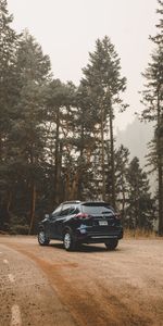 Trees,Cars,Trip,Nissan Rogue,Crossover,Nissan