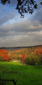 Trees,Clouds,Field,Settlement,Hamlet,Nature