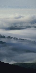 Brouillard,Nuages,Nature,Obscurité,Montagnes,Brume,Arbres