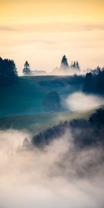 Árboles,Nubes,Las Colinas,Naturaleza,Niebla,Colinas,Paisaje