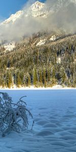 Trees,Clouds,Hills,Snow Covered,Snowy,Winter,Nature,Snow,Sunny