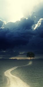 Trees,Clouds,Landscape,Fields