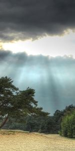 Naturaleza,Árboles,Nubes,Paisaje