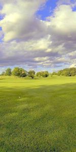 Naturaleza,Árboles,Prado,Nubes,Soleado